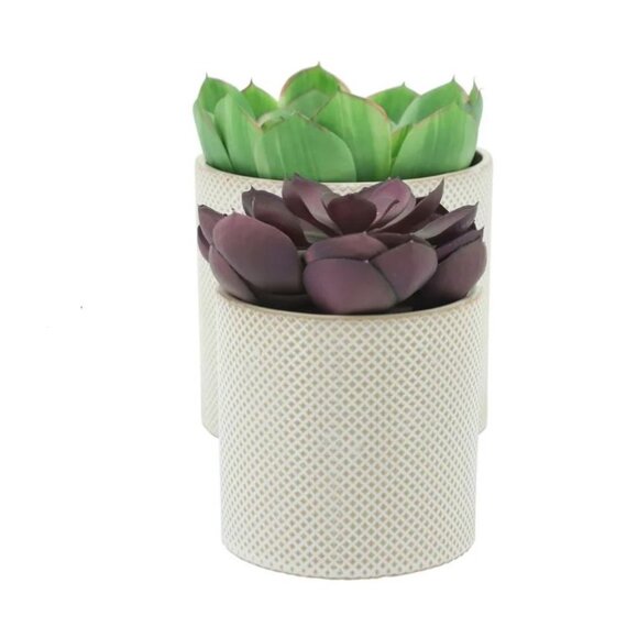 Wayfair Other - Ceramic Planters Contemporary Off White and Tan Dotted Design